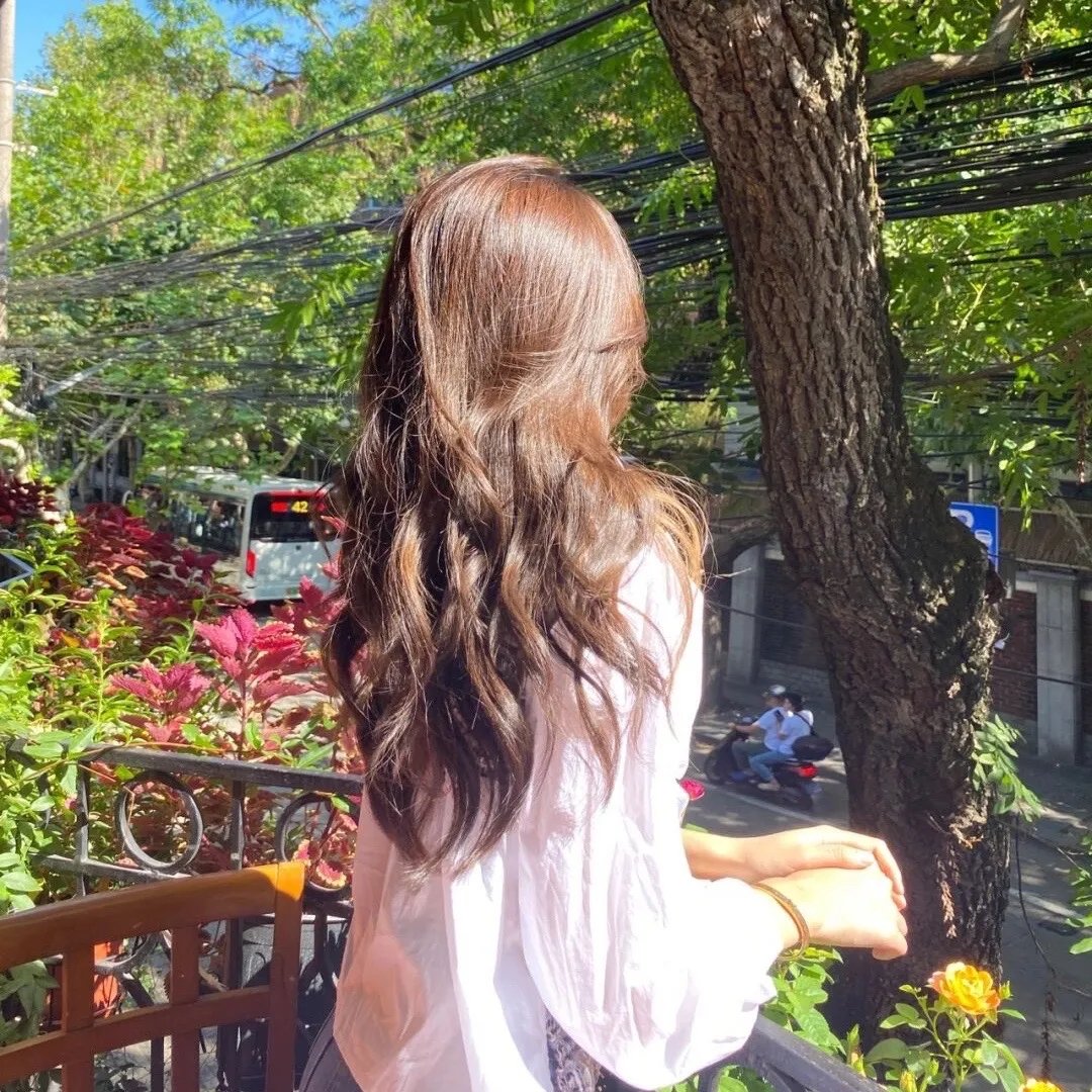 吹落的树叶